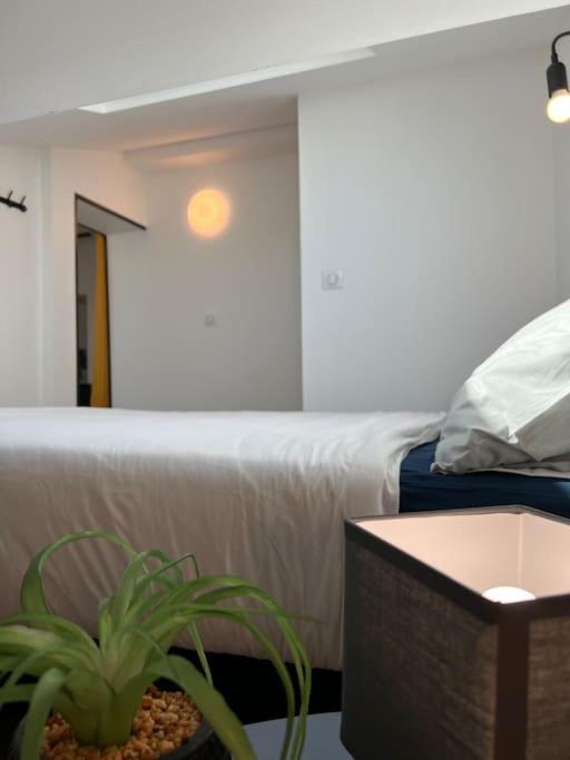 Le Belfort - Grand T2 Climatise En Hyper Centre ตูลูส ภายนอก รูปภาพ